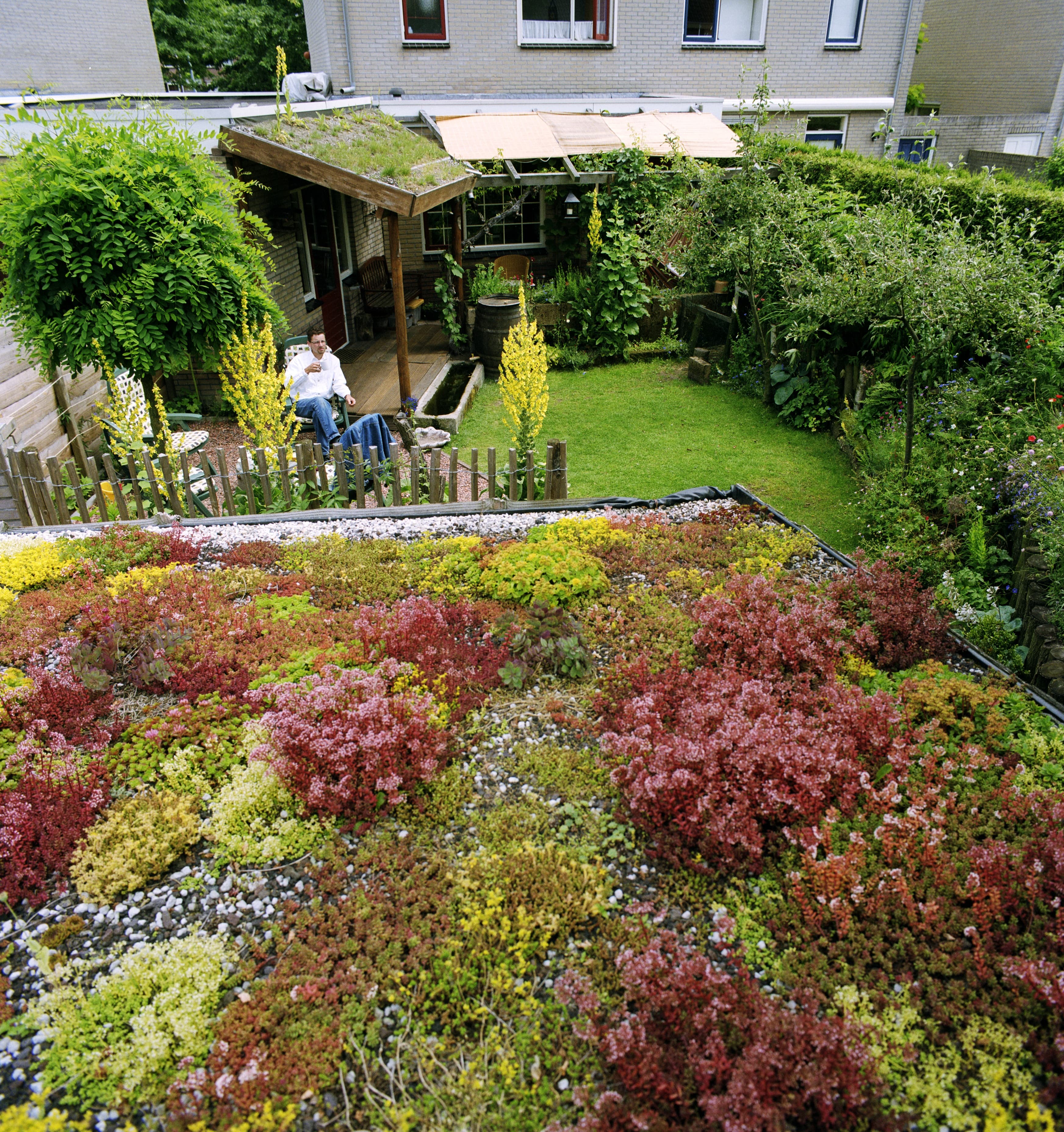 Regen Opvangen Groen Dak 2