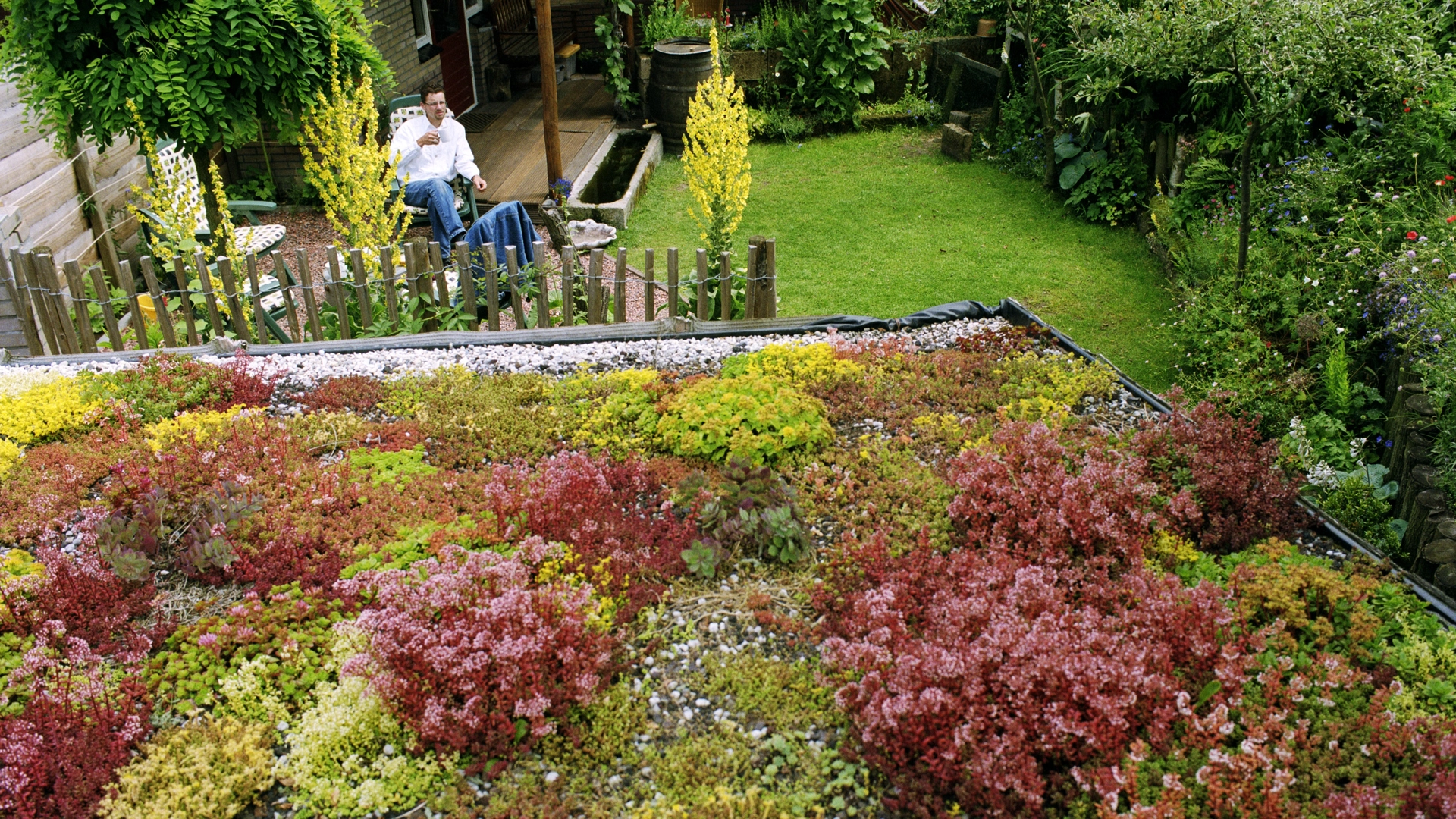 Regen Opvangen Groen Dak 2